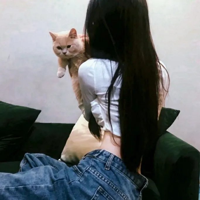 相睇结婚